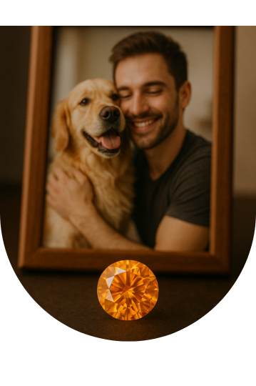 diseño sin título (50)